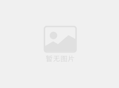 開工大吉 | 91网站（shèng）與你一起“龍”飛鳳舞，喜迎新春